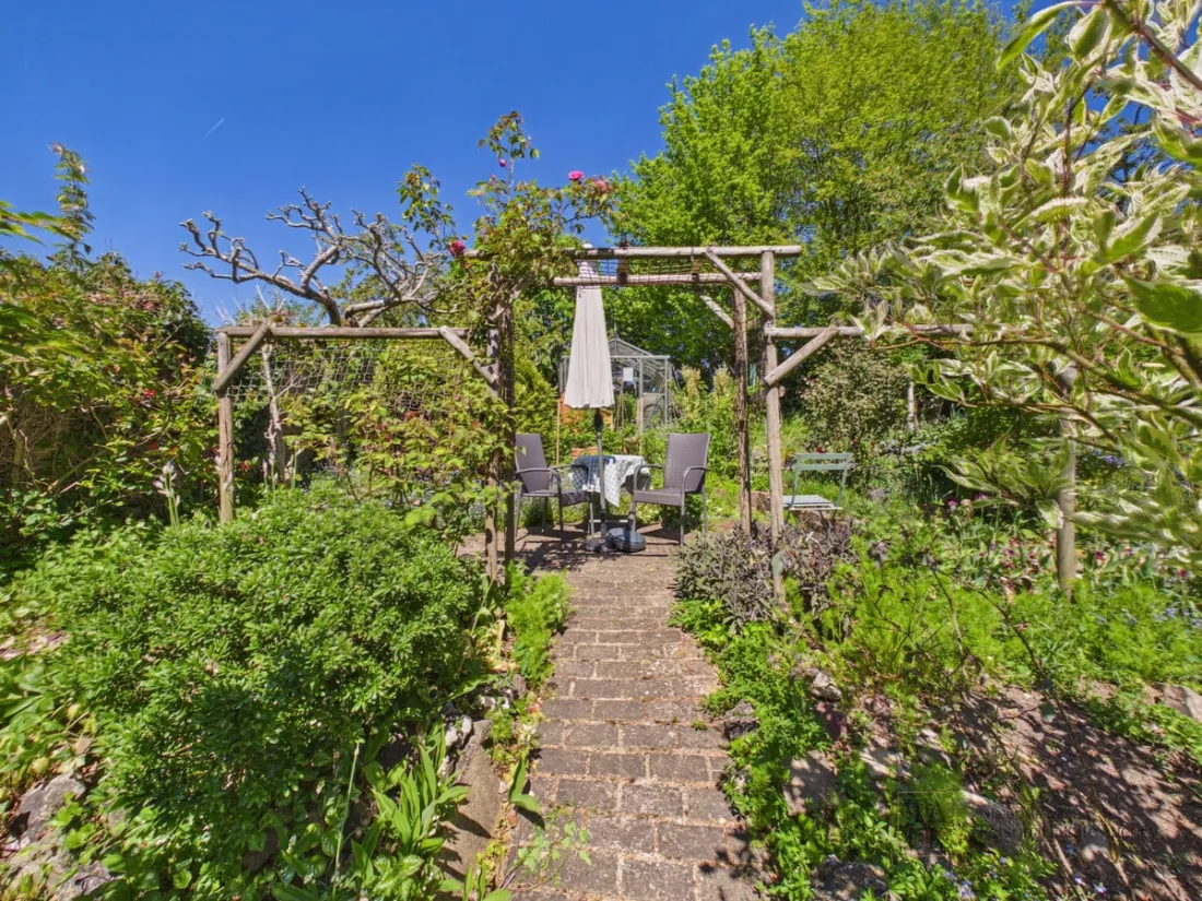 The garden in soft evening light