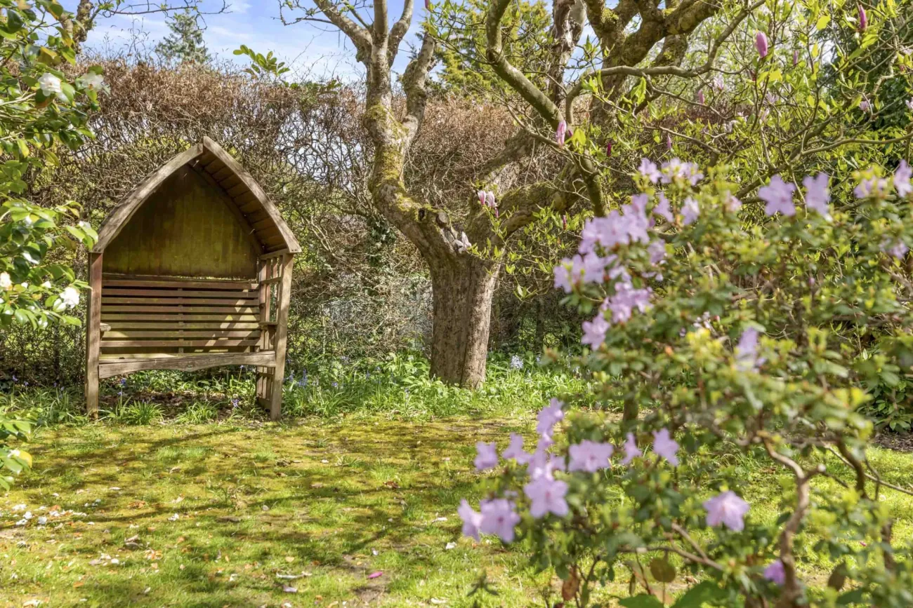 Wisteria outbuilding