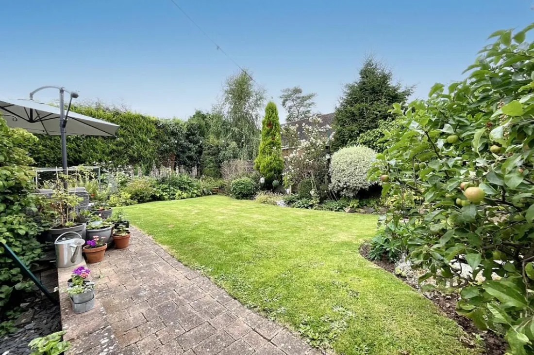 Borders and shrubs