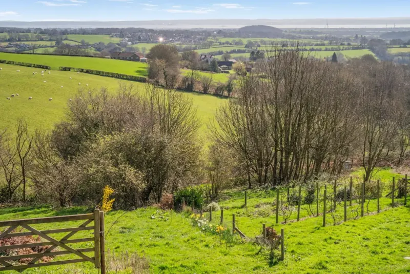 Wider aerial of the plot