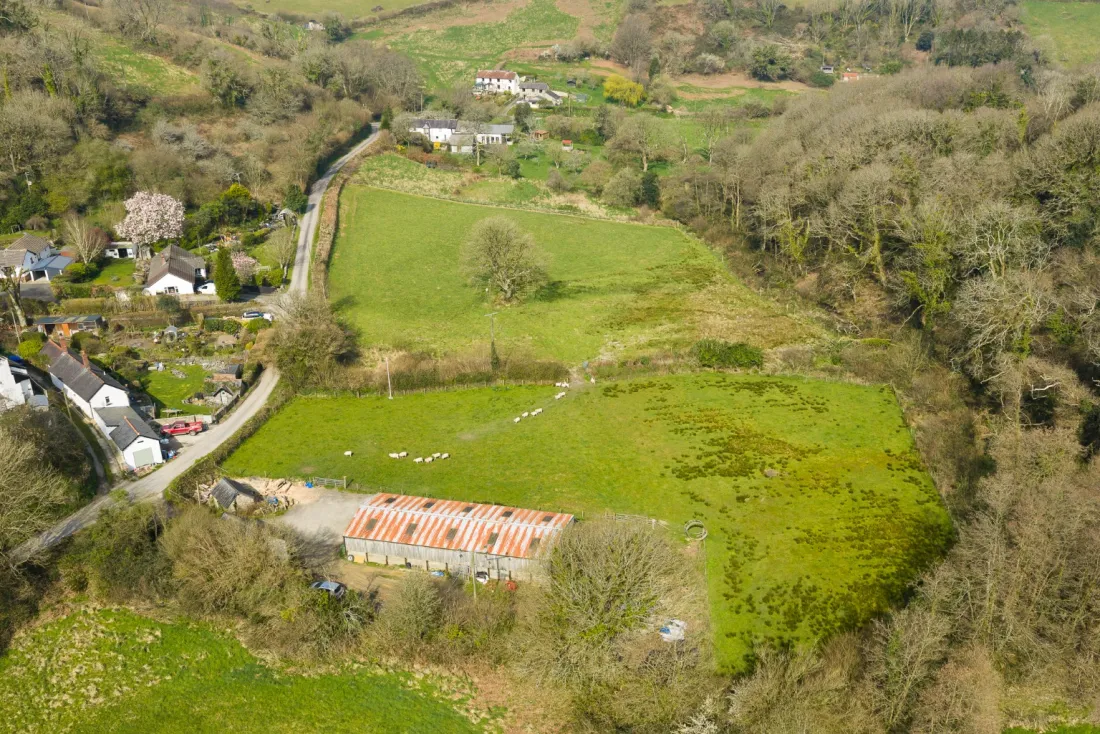 Pasture and paddock