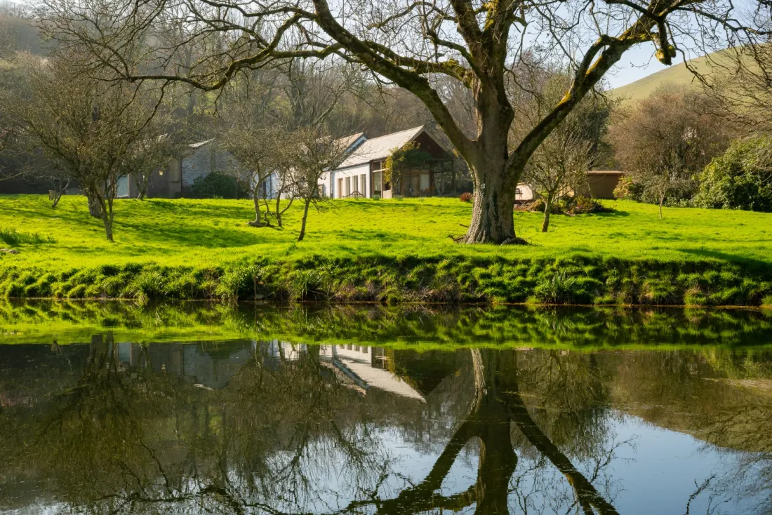 Pond reflection at the lake
