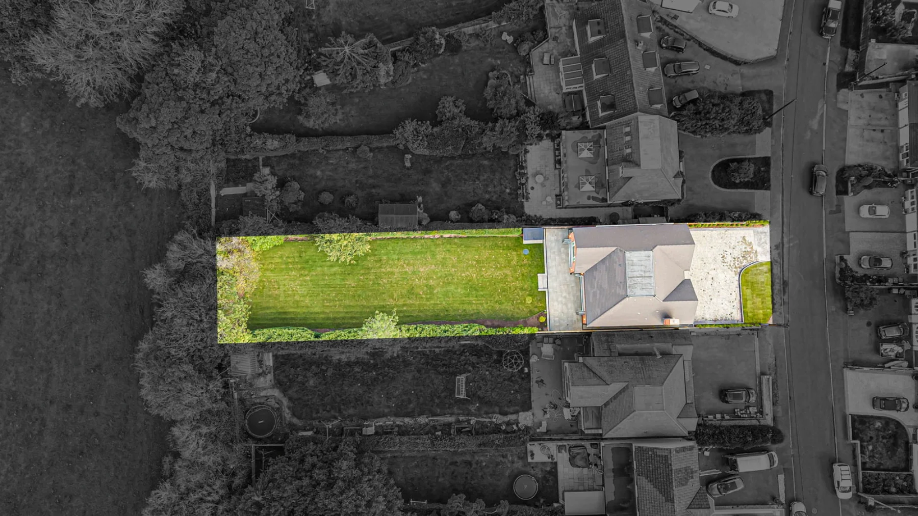 The wider plot from above