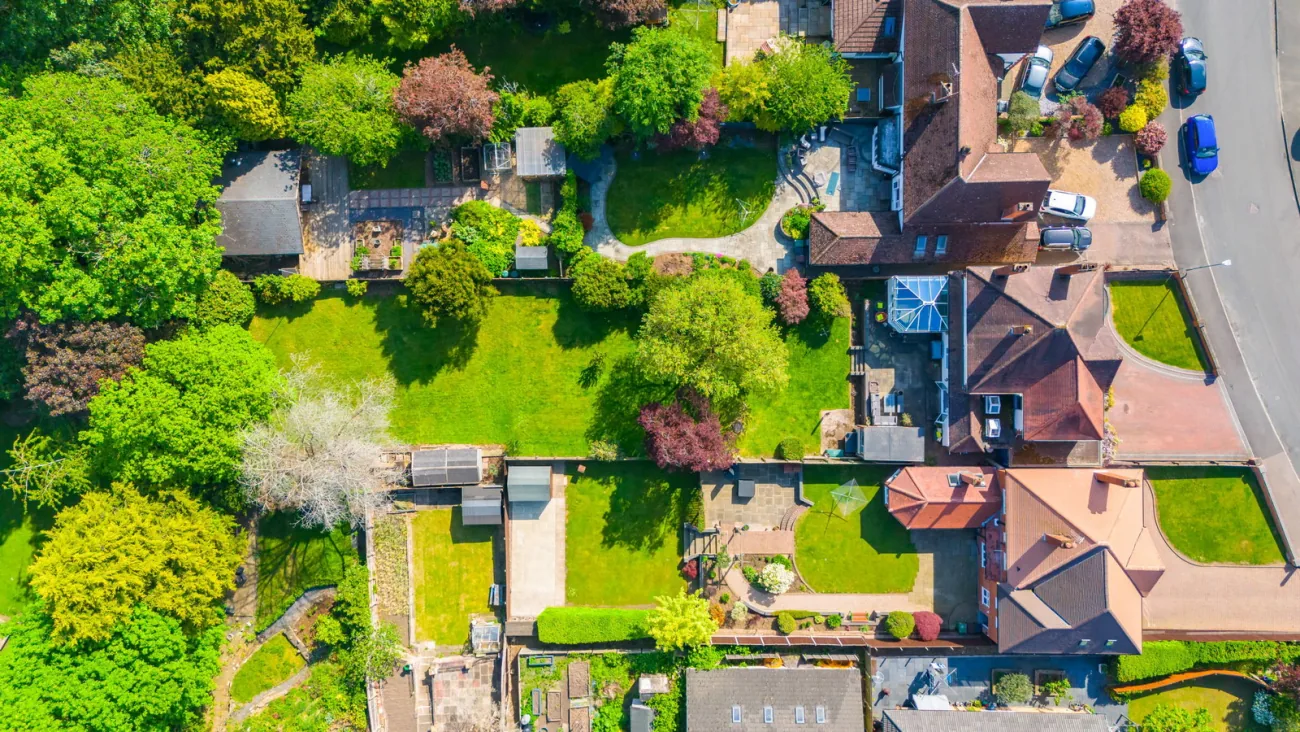 Aerial view of the plot
