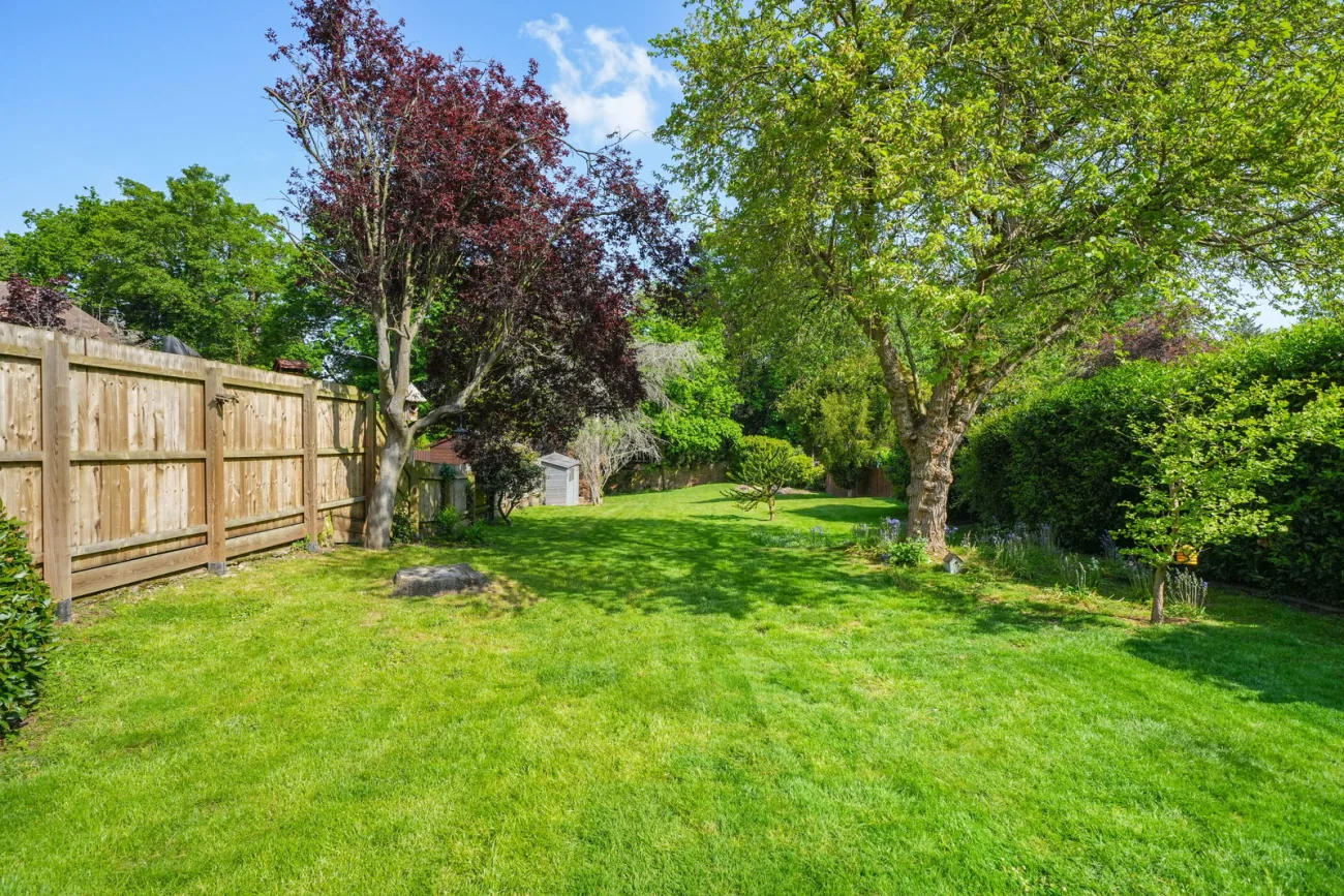 Garden with mature trees