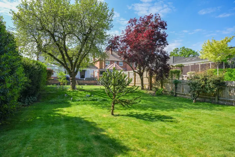 Garden under mature trees