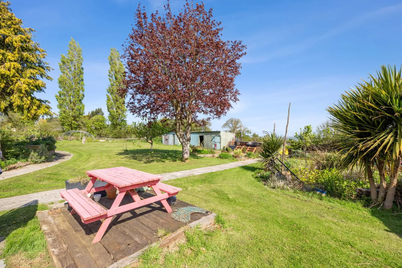 A red picnic table beside a copper-leaved tree, looking across the lower lawn toward The Retreat.